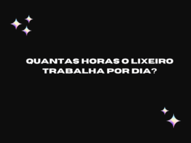 Quantas horas o Lixeiro trabalha por dia?