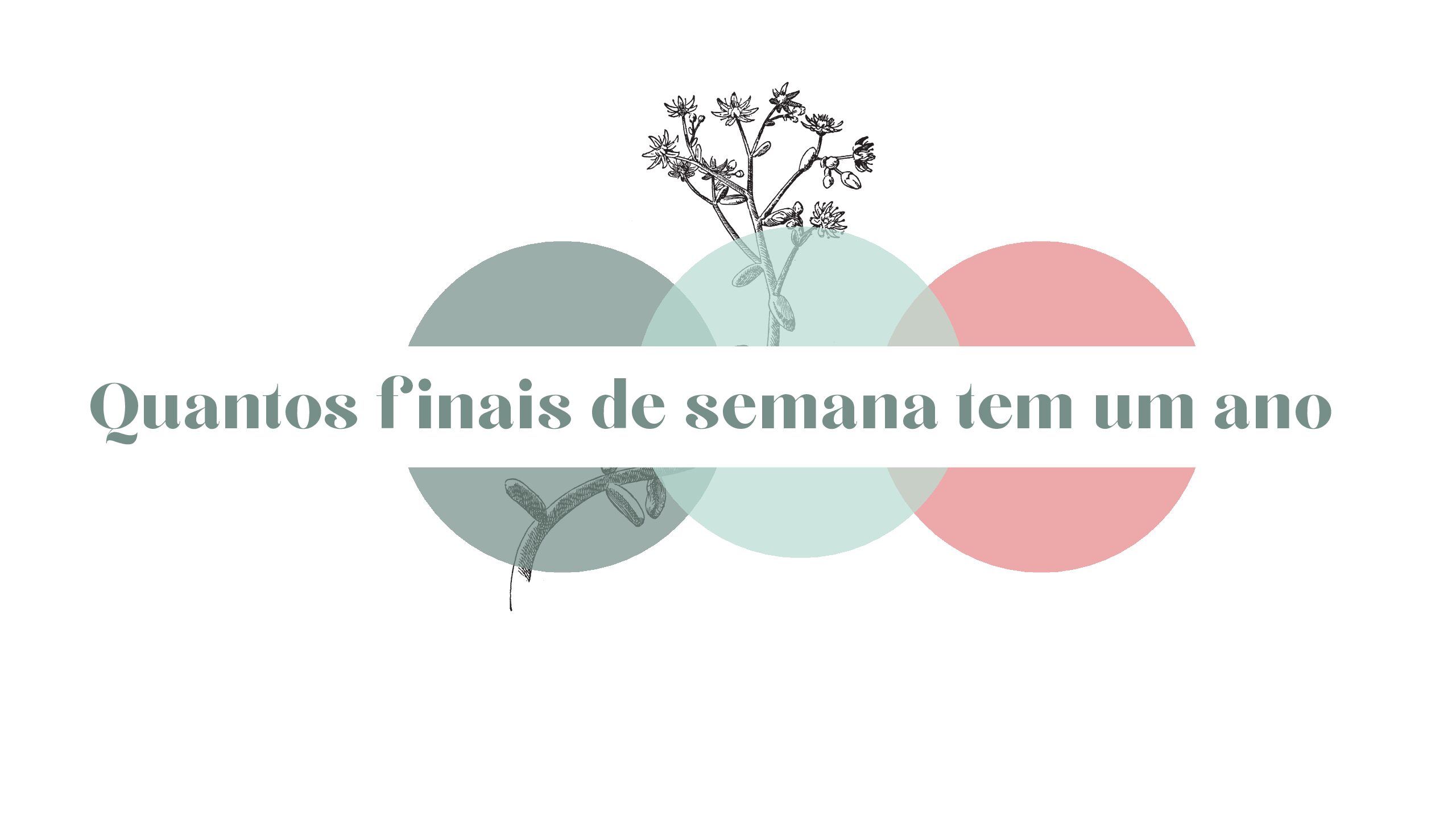 Quantos finais de semana tem um ano - Mapa da Violência