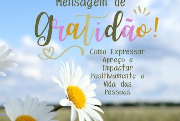 Gratidao frase motivacional instagram post 1