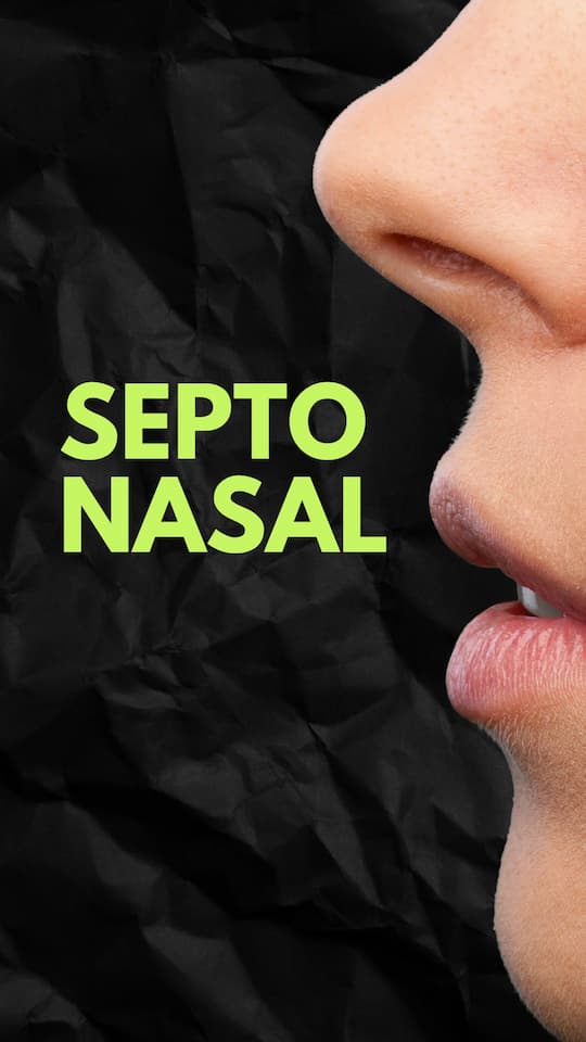 Região que separa as narinas: o que é, nome correto e função do septo nasal
