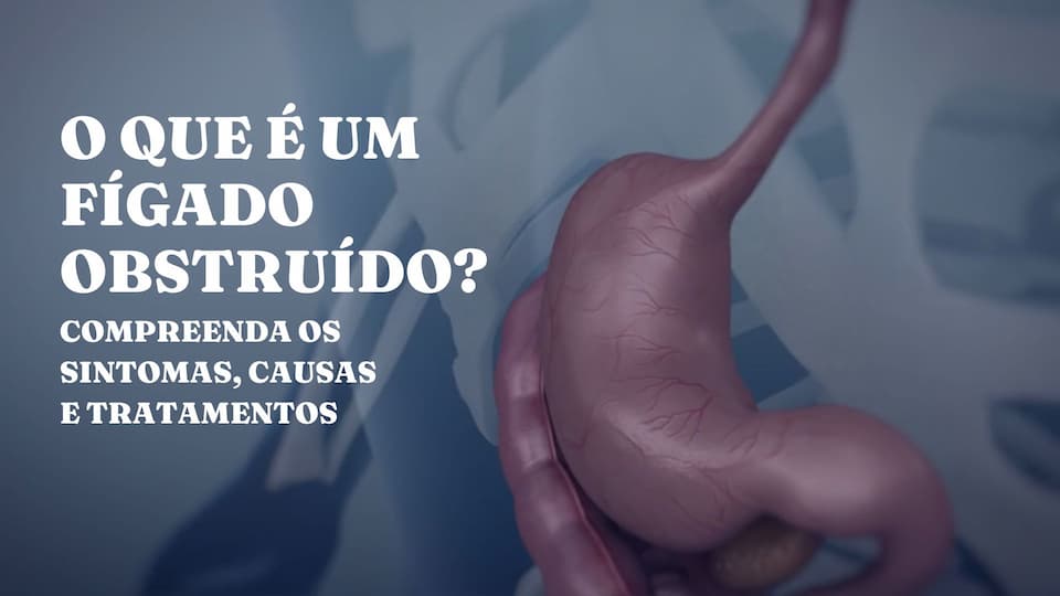 O que é um Fígado Obstruído? Compreenda os Sintomas, Causas e Tratamentos 1 The Digestive System Educational Presentation Blue Modern Animated Style 1