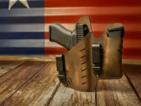 berreta 22 armas de fogo
