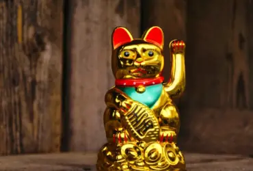 Gato de ouro