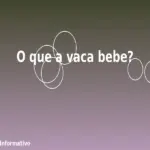 O que a vaca bebe?