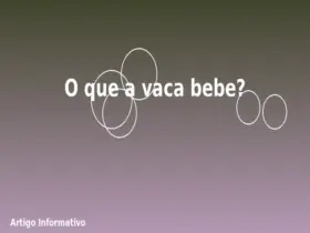 O que a vaca bebe?