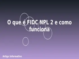 O que é FIDC NPL 2 e como funciona 12 O que é FIDC NPL 2 e como funciona
