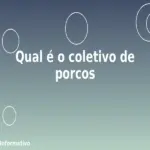 Qual é o coletivo de porcos
