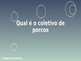 Qual é o coletivo de porcos