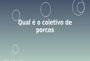 Qual é o coletivo de porcos
