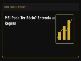 MEI Pode Ter Sócio? Entenda as Regras