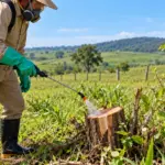 Aplicação de Herbicida no Campo
