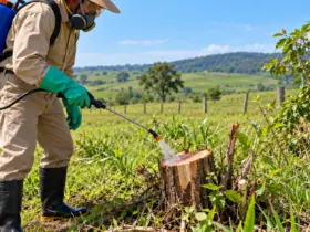 Como aplicar Padron: dose correta, preparo e aplicação no toco 3 Aplicação de Herbicida no Campo